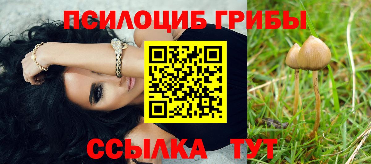 Галлюциногенные грибы Psilocybine cubensis Нижневартовск